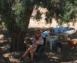 In Spanien unterm Olivenbaum... 1994